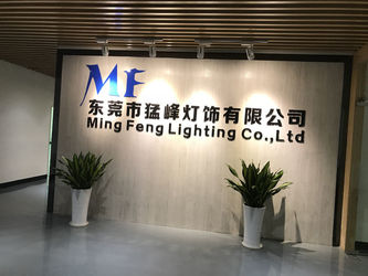 Κίνα Ming Feng Lighting Co.,Ltd.