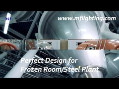 600mm LED Tri Proof Fixture 25W με σκληρυμένο γυαλί διαχύτη