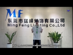 Co. φωτισμού Feng Ming, ΕΠΕ