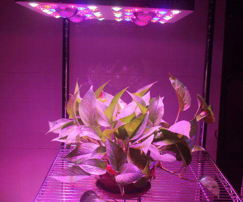 620 Watt(UV/IR) LED Grow Lamp Lights 3000k Blue And Red 5W Diode , 120V Power Cord