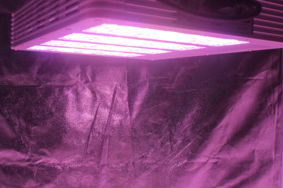 420W indoor farming grow light, greenhouse grow light, ETL, CE, Rohs certified