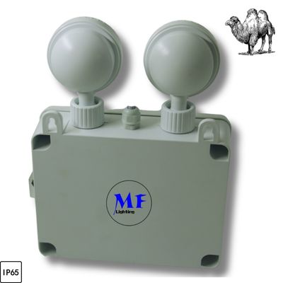 IP65 Waterproof Indoor Outdoor Battery 3hours 24hours Long Duration Wall Ceiling Hanging Mount White Green Exit Sign LED Emergency Light For Hotel Office