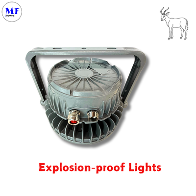 Factory Price 400W ExplosionProof Flood Light IECEx ATEX Die-casting Aluminum IP66 IK08 Beam Angle Optional Oil Gas Chemical Hazard Industry LED Explosion Proof Light