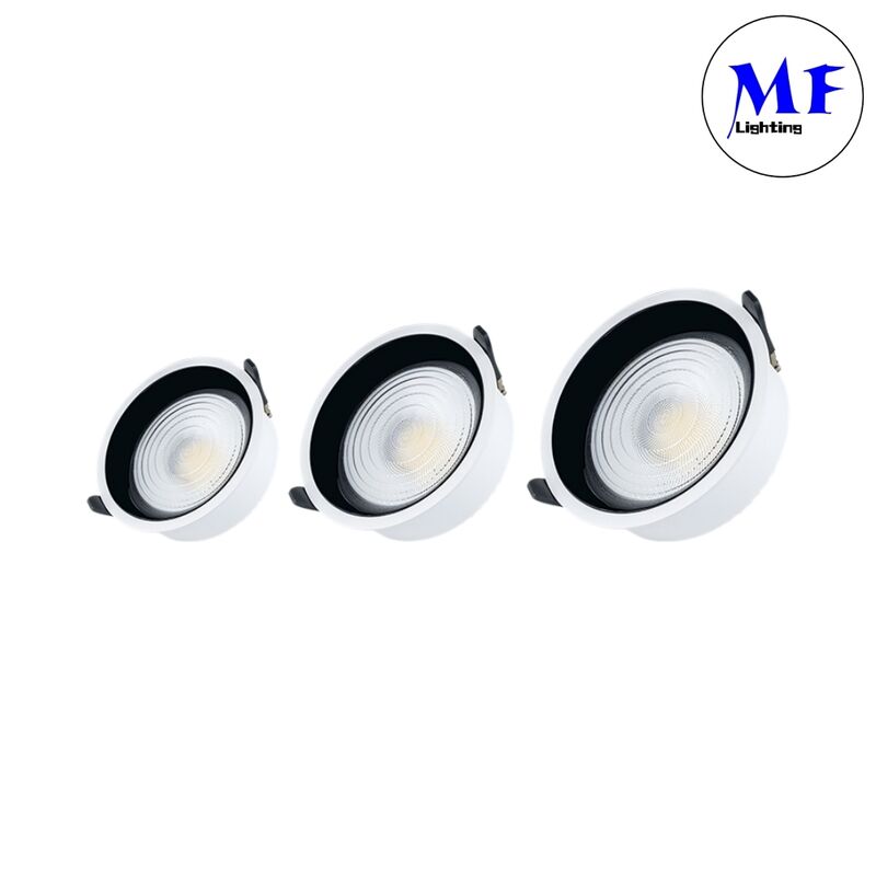 Smart CCT Power Dimming Adjustable High Aluminum Recessed Downlight 7W/10W/12W/15W/18W/20W/25W/30W/35W/40W/45W/50W/60W/70W/80W/100W LED Down Light