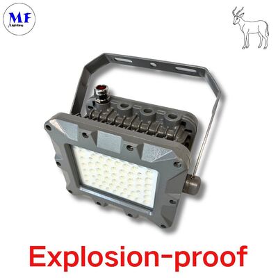 IP66 50W 75W 100W 150W 200W 240W 300W 350W 400W EATON Πετρέλαιο Minging Offshore Zone Αντιφωτιστικό Φωτιστικό LED Αντιφωτιστικό Atex Φως πλημμύρας