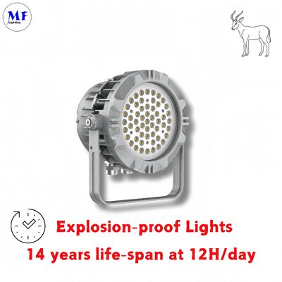ΑΛΥΜΙΝΙΟ ATEX IECES EX 50/75/100/150/200/240/300/400W HIGHBAY IP66 IK08 Υπερόπτερο γυαλί πετρελαίου αέριο εξορυκτικής εκρήξεως ΑΠΟΦΑΣΤΗΣ ΠΡΟΒΛΗΣΗΣ ΠΡΟΒΛΗΣΗΣ ΠΡΟΒΛΗΣΗΣ ΥΠΟΦΑΣΤΗΣ LED